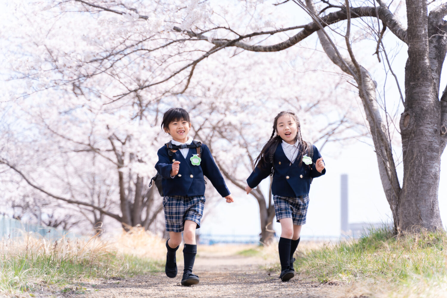 桜のトンネルを走る2人の女の子