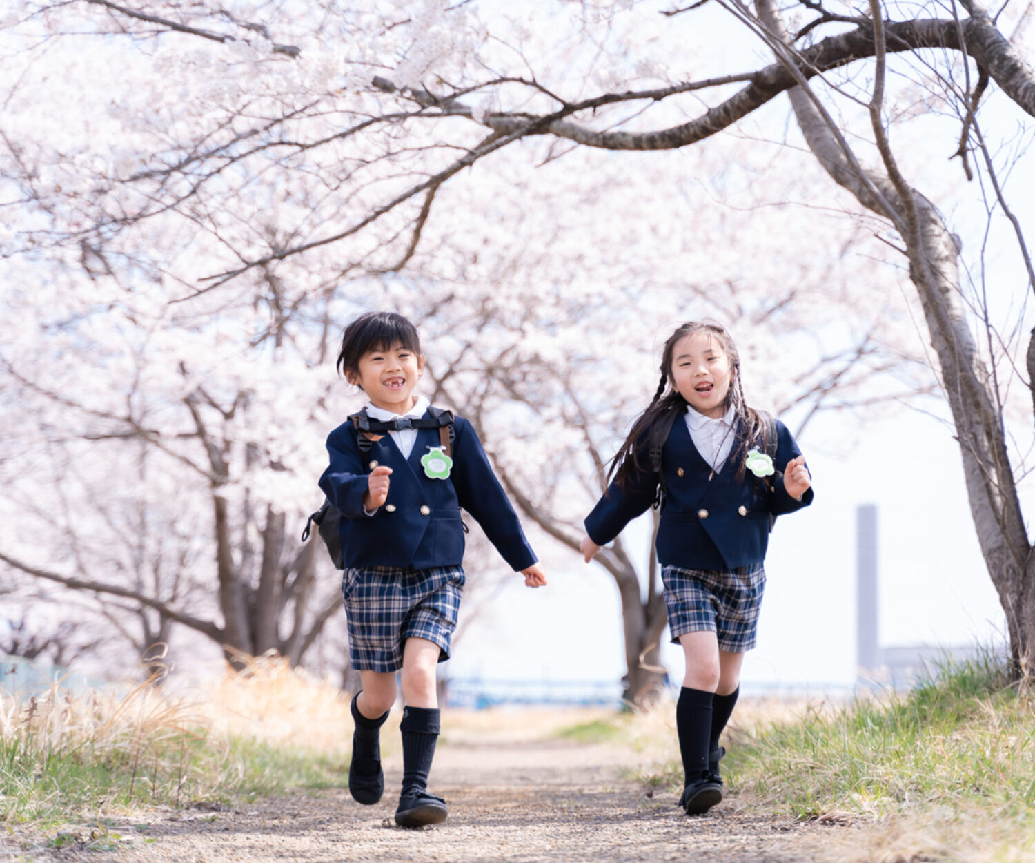 桜のトンネルを走る2人の女の子